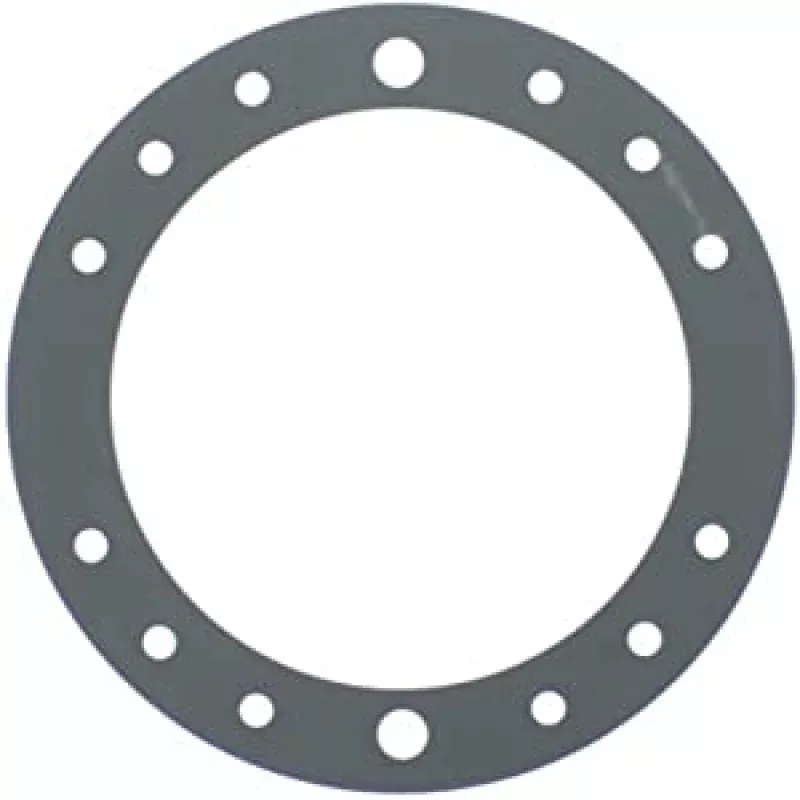 BaduStream II – Faceplate Gasket – 2308750005